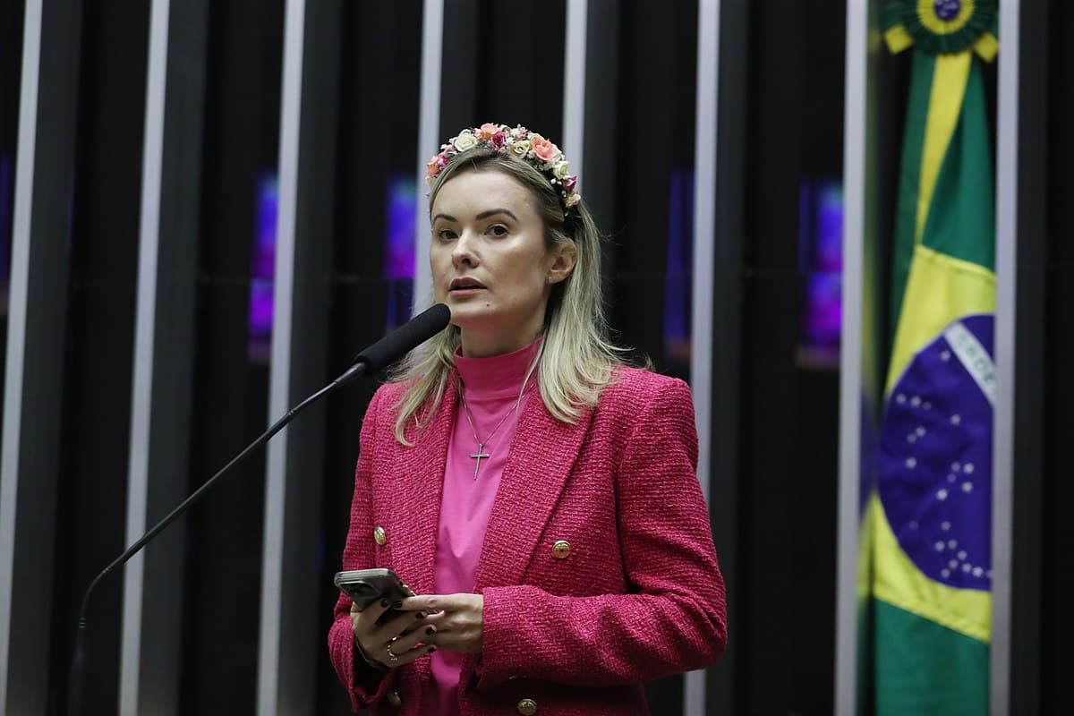 Deputada do PL propõe projeto para acabar com cobrança do imposto de renda