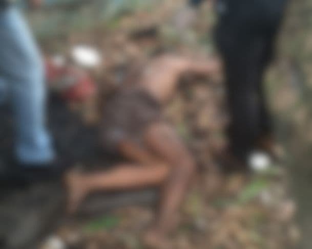 Homem tenta colher mangas de árvore e acaba morrendo ao cair no chão em Manaus