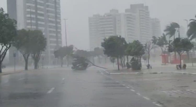 Manaus vai passar por teste de alerta da Defesa Civil em celulares