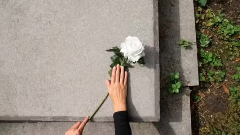 Dia de Finados: entre flores e memórias