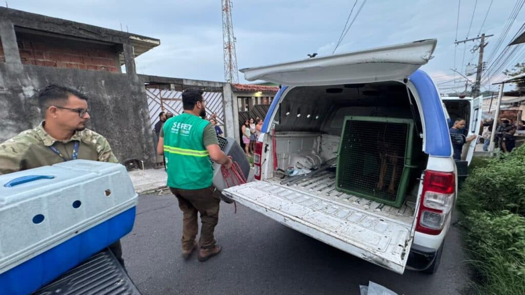 IMAGENS FORTES: Cães morrem de fome e são devorados por animais abandonados em casa em Manaus