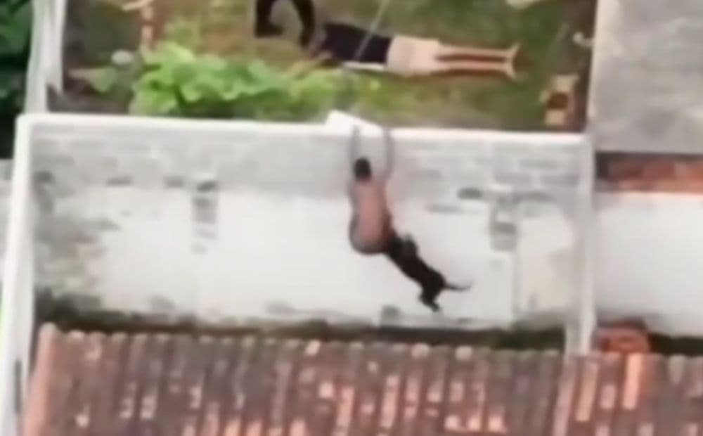 Suspeito tenta fugir da polícia, invade casa e é atacado por pitbull no Rio de Janeiro