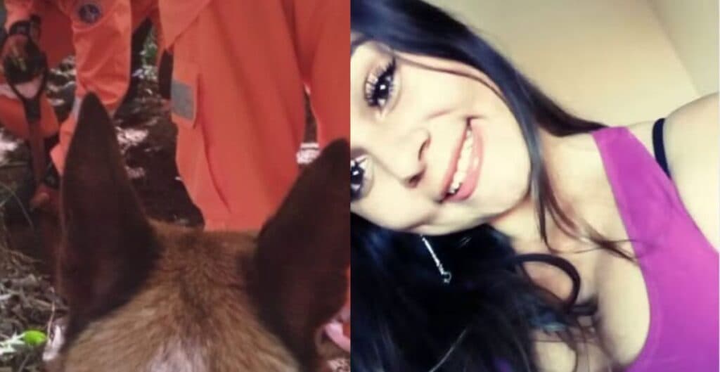 Cadela encontra corpo que pode ser de jovem desaparecida há quase 3 meses