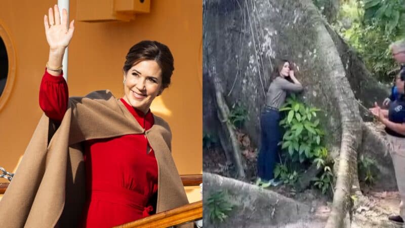 COP30: Rainha da Dinamarca visita ilha em Belém e abraça samaumeira