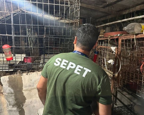 Animais são resgatados de criadouro clandestino em uma casa de Manaus