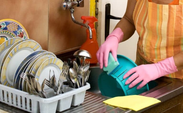 Amazonas pode ganhar Política de Valorização dos Trabalhadores Domésticos