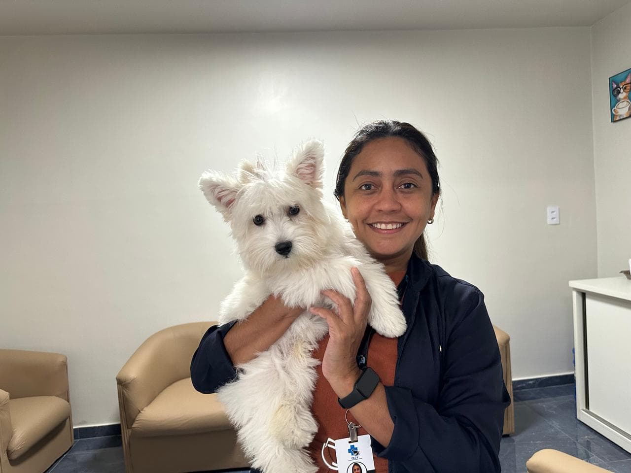 Fim de ano: como cuidar dos pets durante festas e viagens