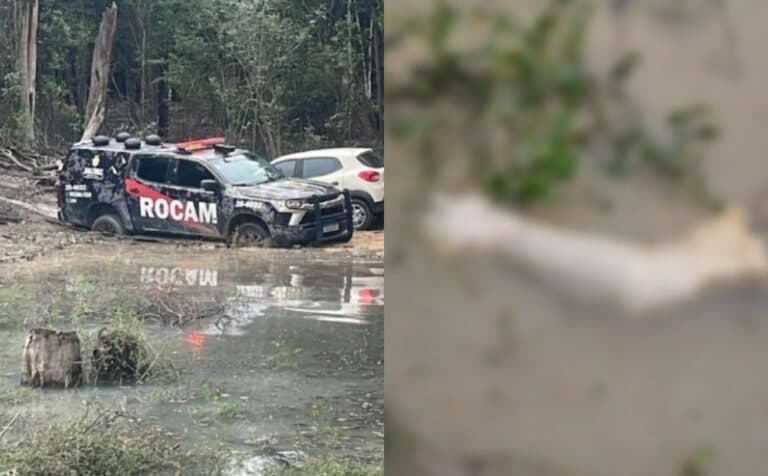 Partes de dois corpos são encontradas boiando no igarapé Tarumã-Açu