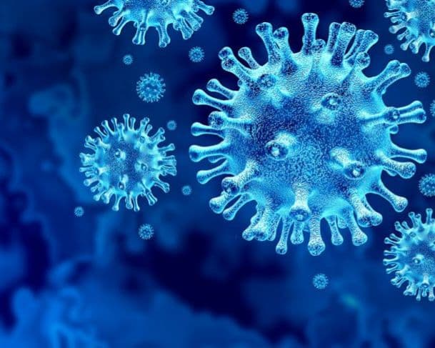 Vírus da “gripe K” é identificado no Brasil; saiba mais sobre essa nova variante