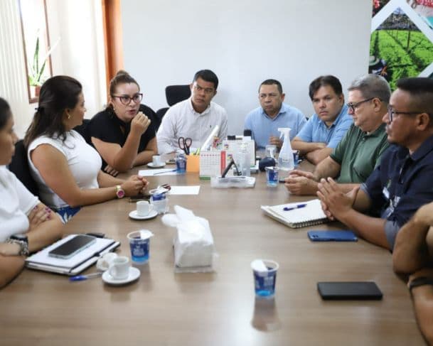 Governo do Amazonas se reúne com instituições para debater estratégias de enfrentamento à mosca-da-carambola