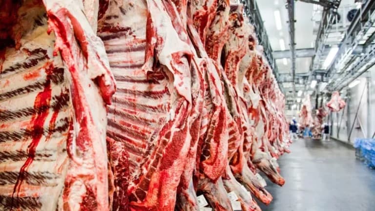 Produção recorde desacelera preço da carne em 2025, mas tendência é alta em 2026