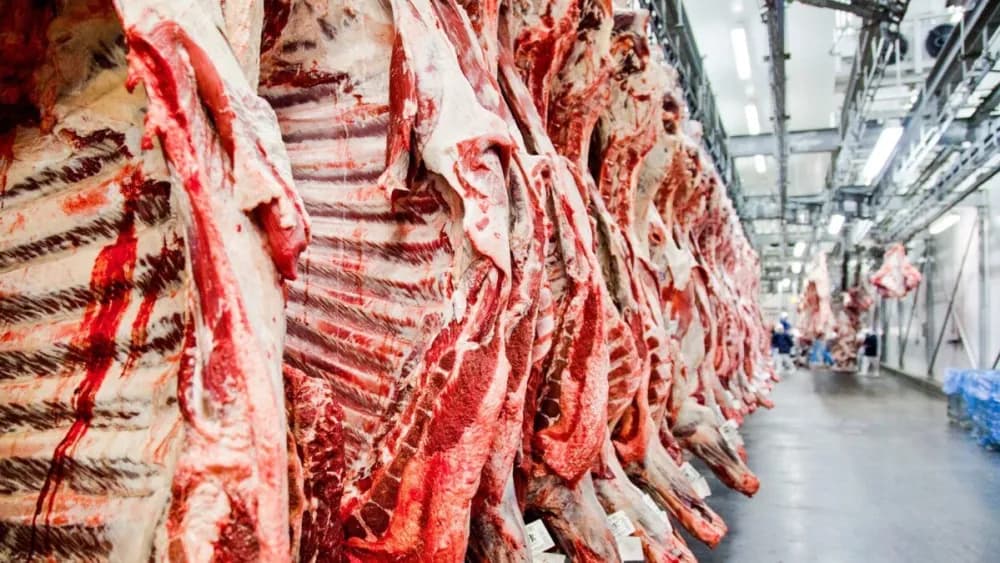 Produção recorde desacelera preço da carne em 2025, mas tendência é alta em 2026