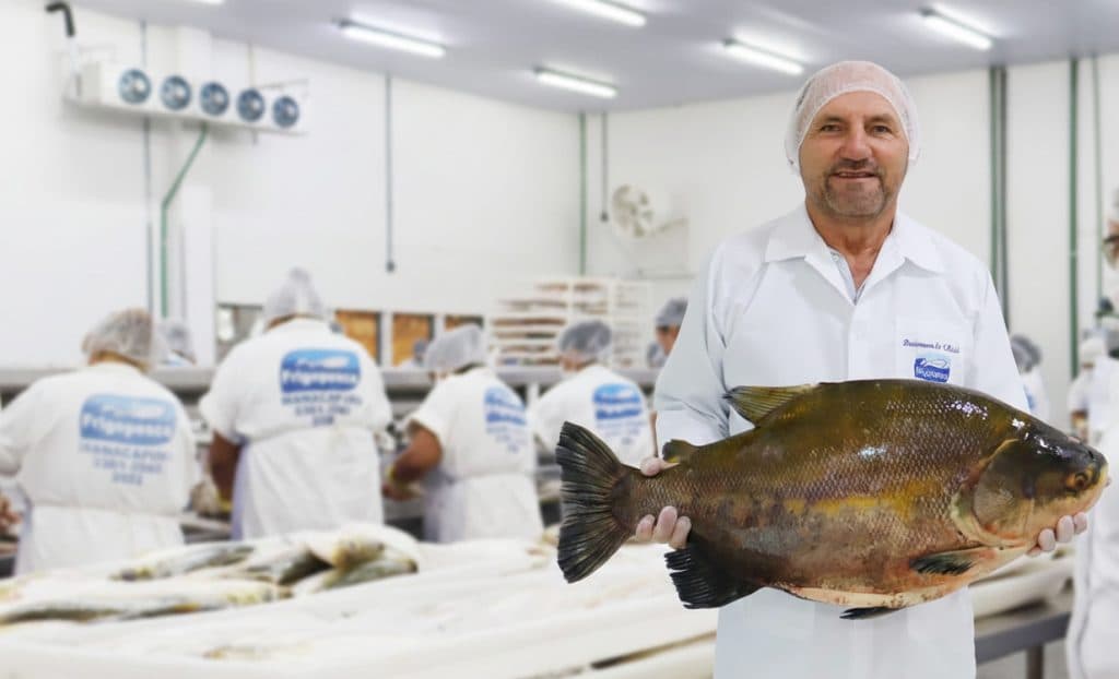 Empresa amazonense leva pirarucu aos Estados Unidos e amplia mercado internacional