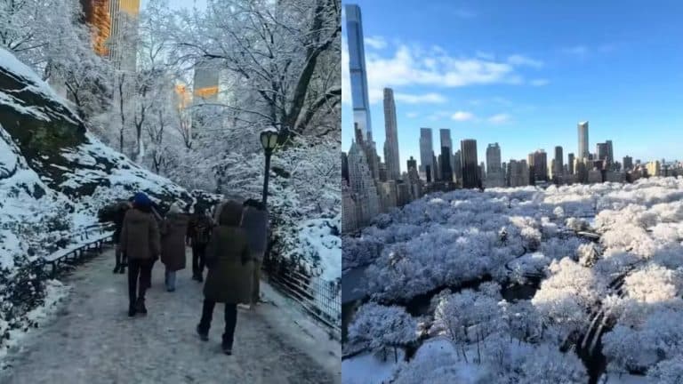 Nova York decreta estado de emergência durante maior nevasca dos últimos anos