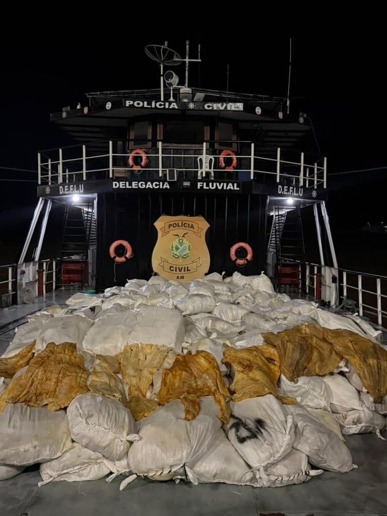 Mais de 300 sacos de pirarucu seco são apreendidos em Itacoatiara