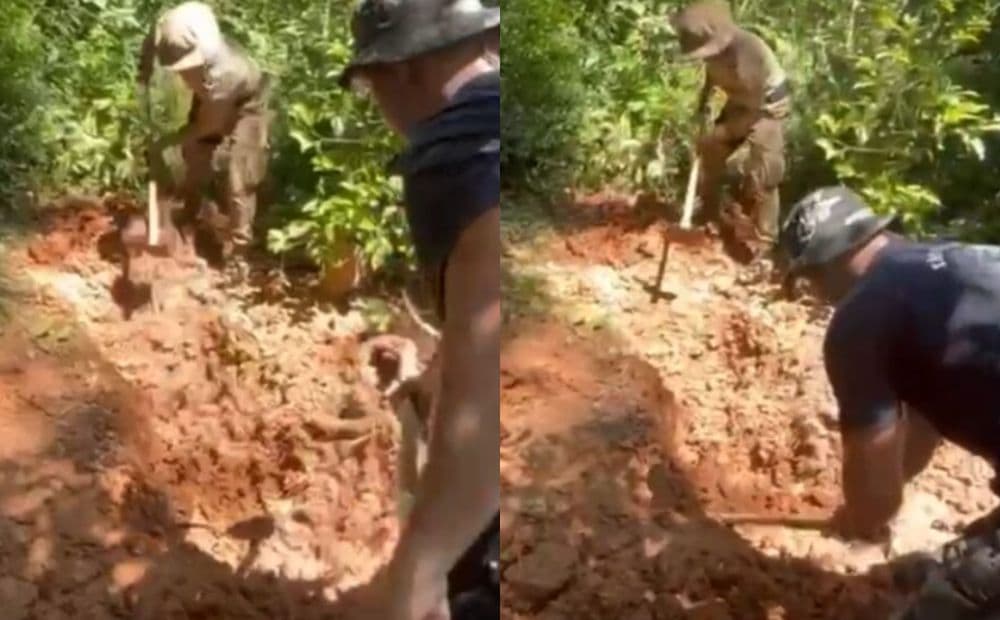 Corpos são encontrados em mata e revelam cemitério clandestino em SC