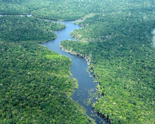 Amazonas registra em 2025 o menor número de alertas de desmatamento em oito anos