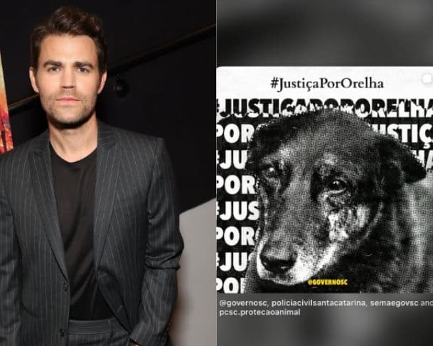 Ator de ‘Vampire Diaries’ compartilha publicação pedindo justiça por Orelha