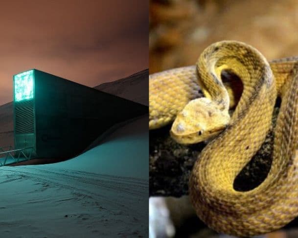 Acesso restrito: conheça cinco locais no mundo onde você jamais poderia entrar