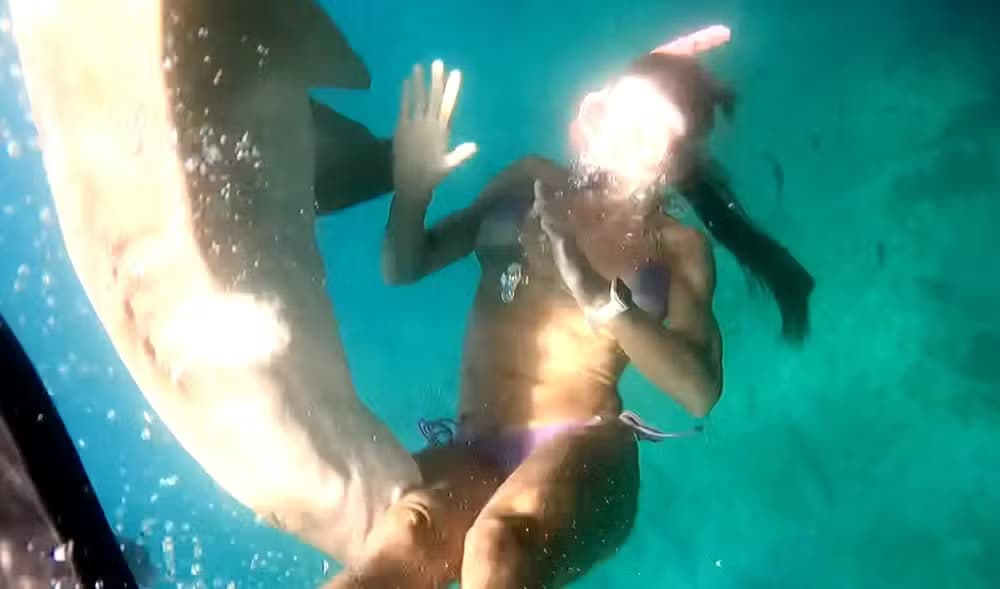 VÍDEO: Veja momento em que tubarão morde perna de turista em Fernando de Noronha