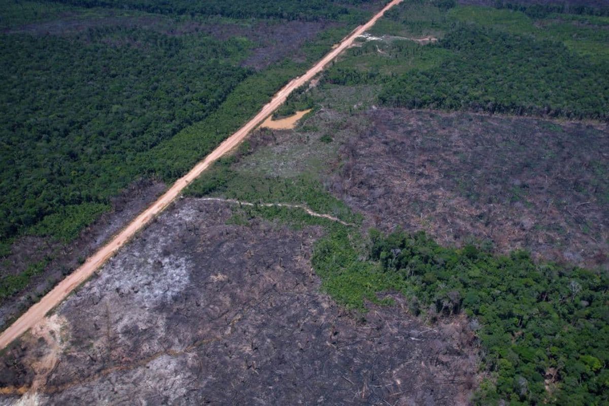 Amazônia reúne quase 50% dos conflitos de terra no Brasil, aponta estudo
