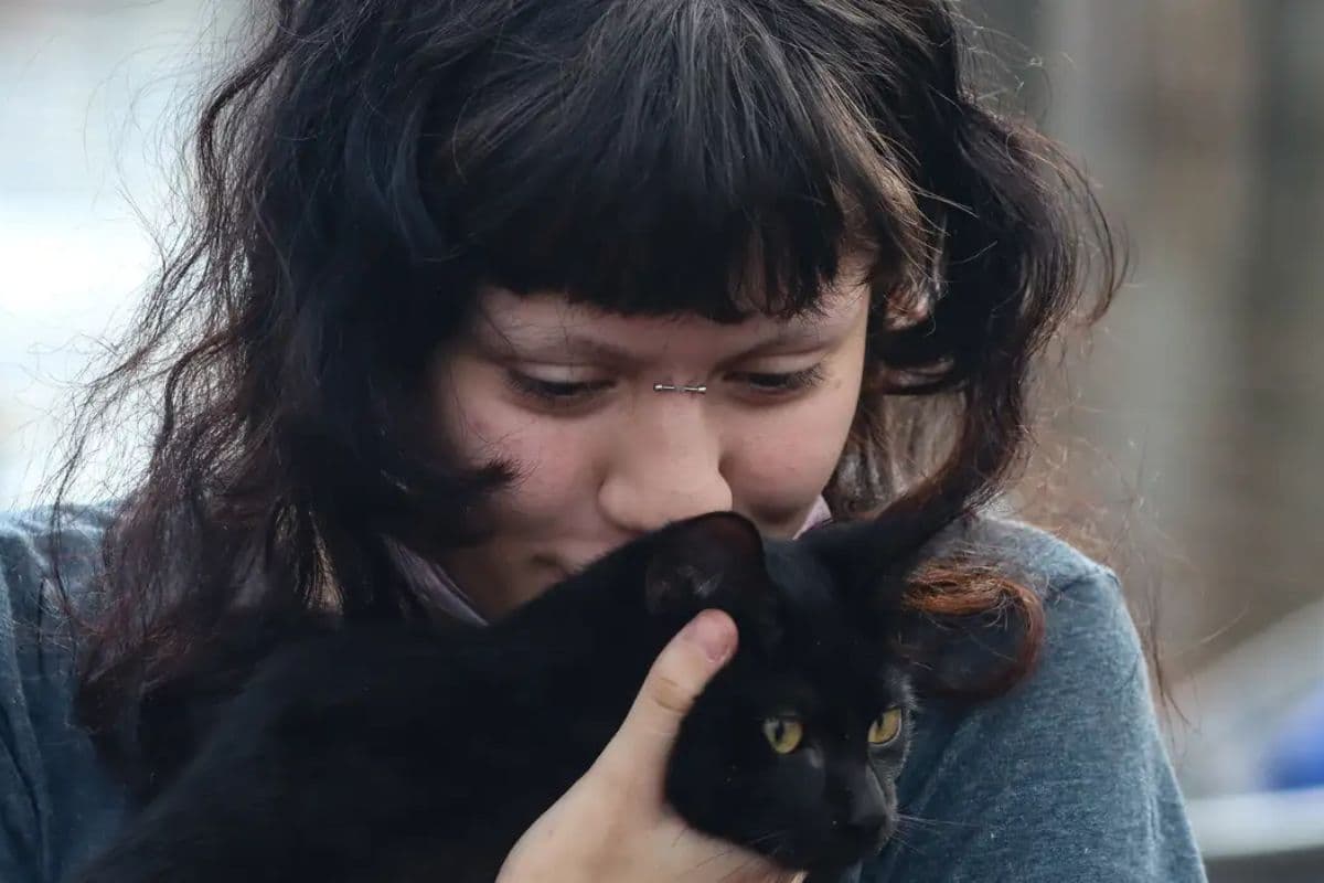 Dia Mundial do Gato: data celebra a amizade, cuidado e bem-estar felino