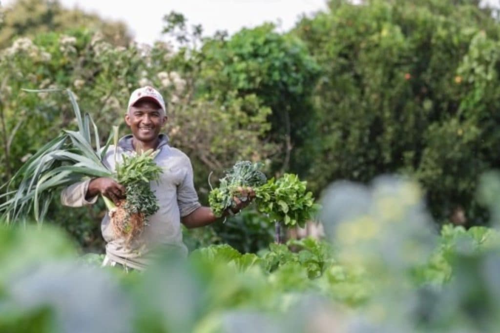 Fundo Amazônia investe R$ 80 milhões em agricultura familiar e povos tradicionais