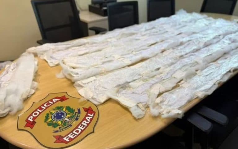 Dupla é presa em Manaus com cocaína líquida escondida em edredons para Austrália