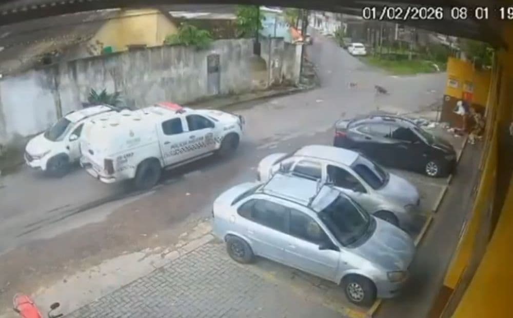 Justiça decreta prisão preventiva de PM suspeito de atropelar e matar duas cadelas em Manaus