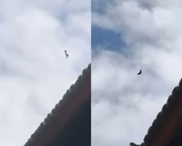 Falha em paraquedas provoca susto durante salto em Manaus