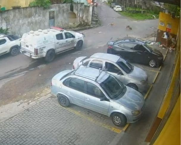 VEJA VÍDEO: Viatura da PM atropela e mata dois cachorros no bairro Novo Aleixo