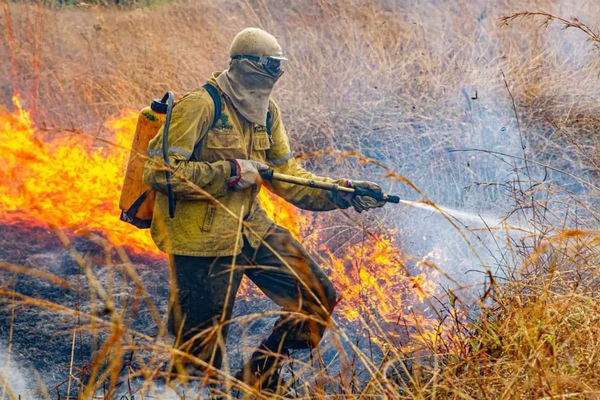 Governo antecipa ações e mobiliza 4,6 mil brigadistas para prevenir incêndios em 2026