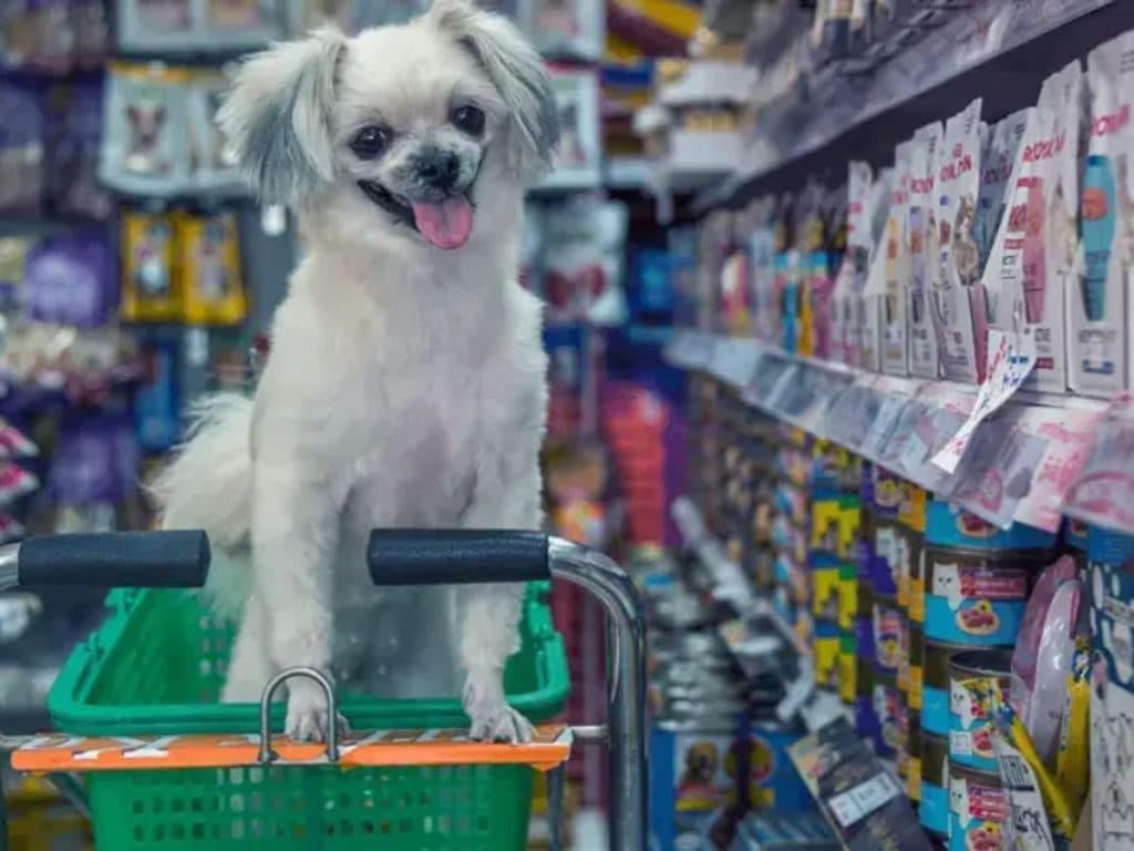 Alta da ração pressiona bolso e faz mercado pet encolher no Brasil