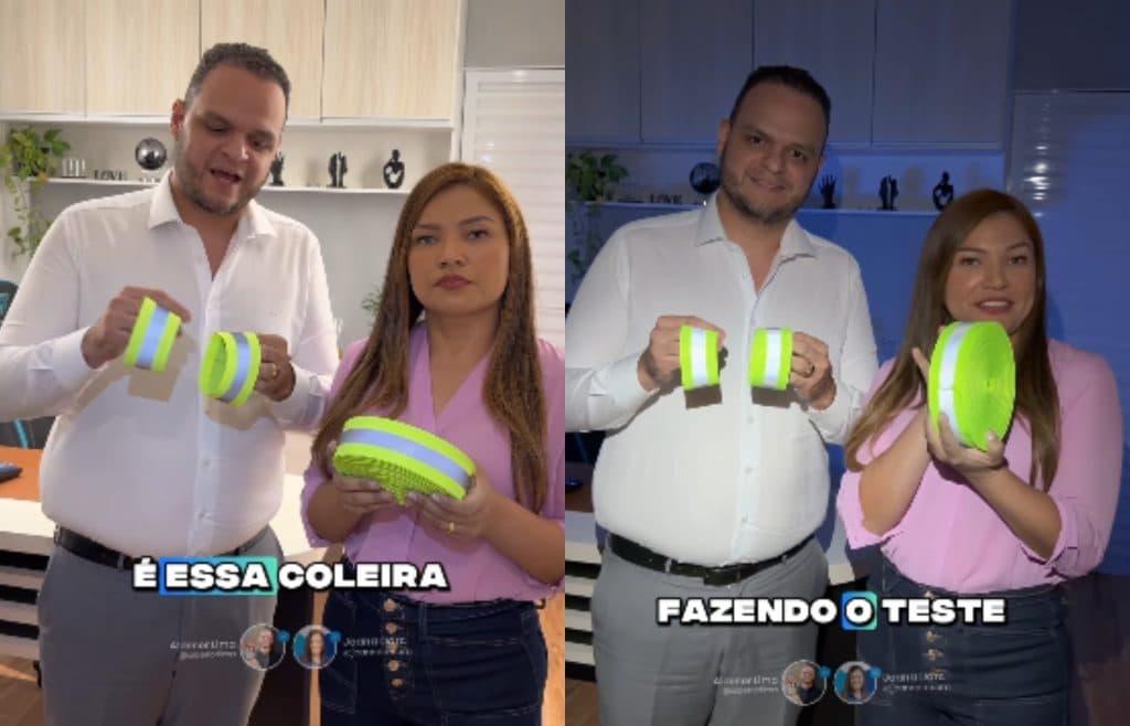 Coleiras refletivas surgem como solução para salvar animais nas ruas de atropelamentos no AM