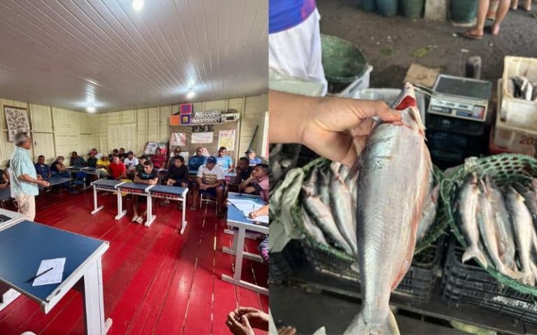 Pescadores do Careiro da Várzea definem preço do mapará para temporada 2026