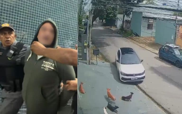 “Faria de novo”, diz suspeito de atropelar e matar cachorro em Manaus