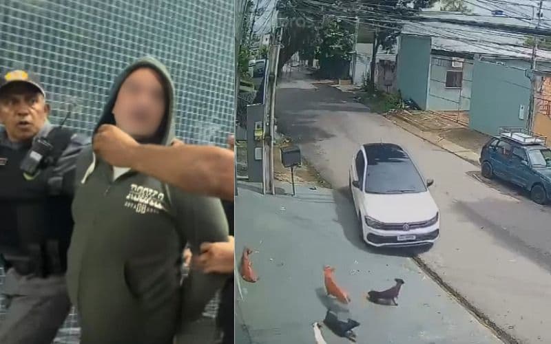 “Faria de novo”, diz suspeito de atropelar e matar cachorro em Manaus