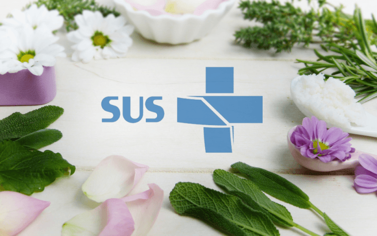 Uxi, jatobá e mais: plantas da Amazônia viram aposta em fitoterápicos