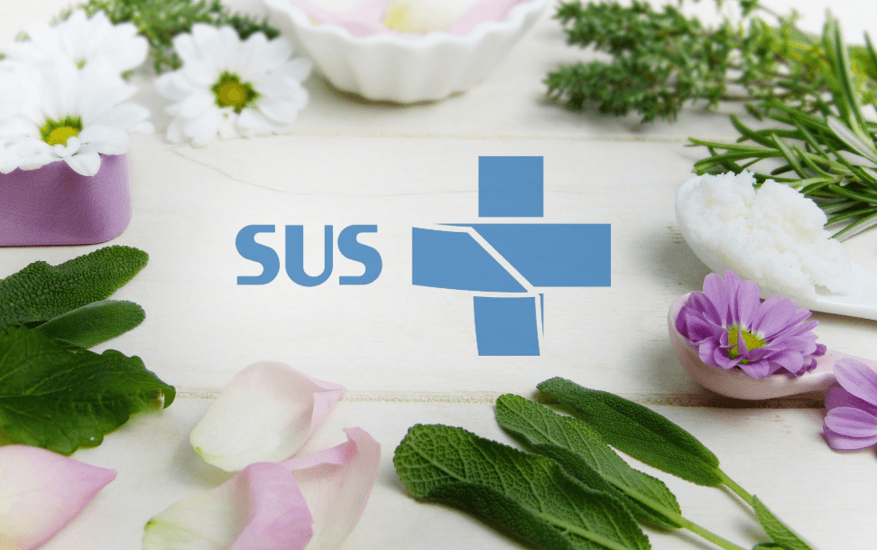 Uxi, jatobá e mais: plantas da Amazônia viram aposta em fitoterápicos