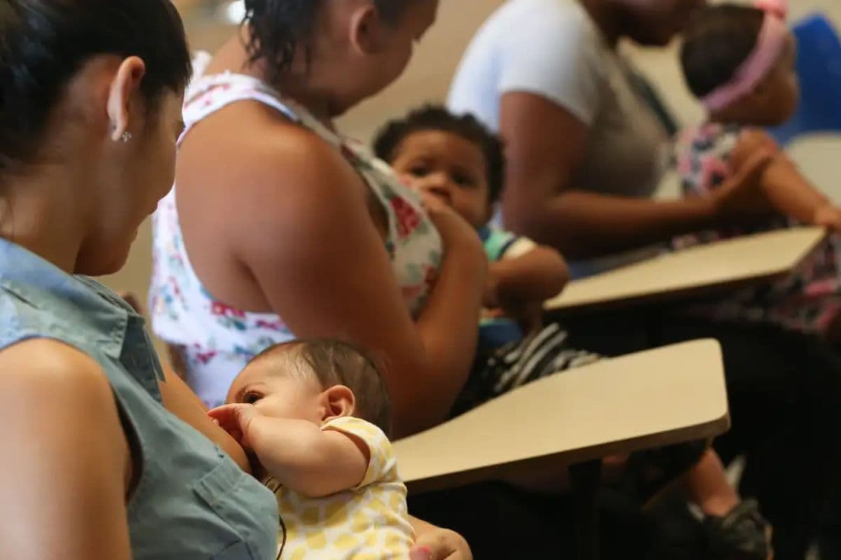 Estudo da Universidade Federal do Ceará aponta benefício do cuscuz na amamentação