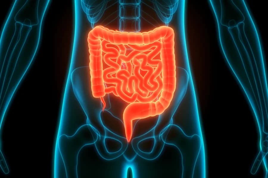 Fezes finas, sangue ou mudanças no intestino: veja os sinais que não devem ser ignorados