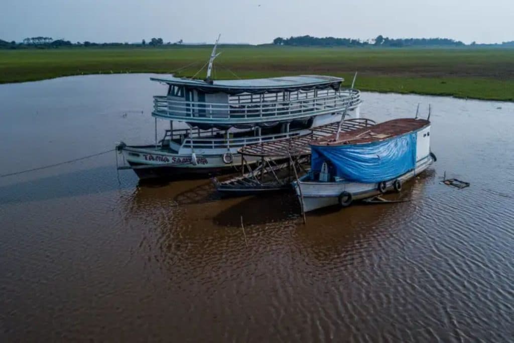 “Amazonas pode enfrentar seca igual ou pior que as de 2023 e 2024”, alerta pesquisador sobre novo El Niño