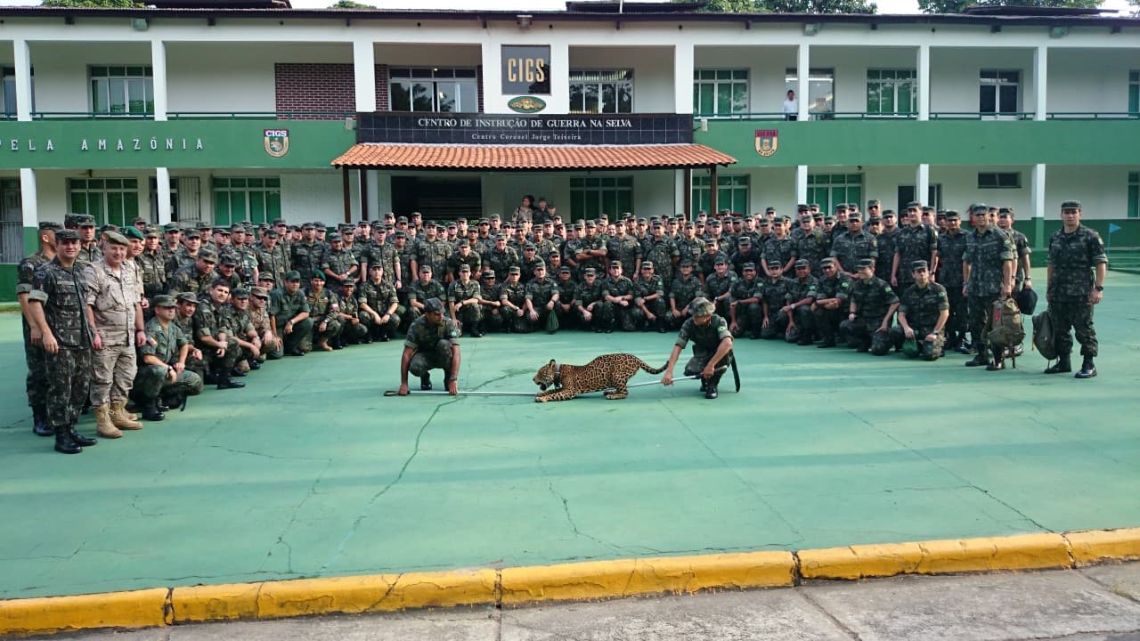 CIGS pode se tornar patrimônio cultural do Amazonas 