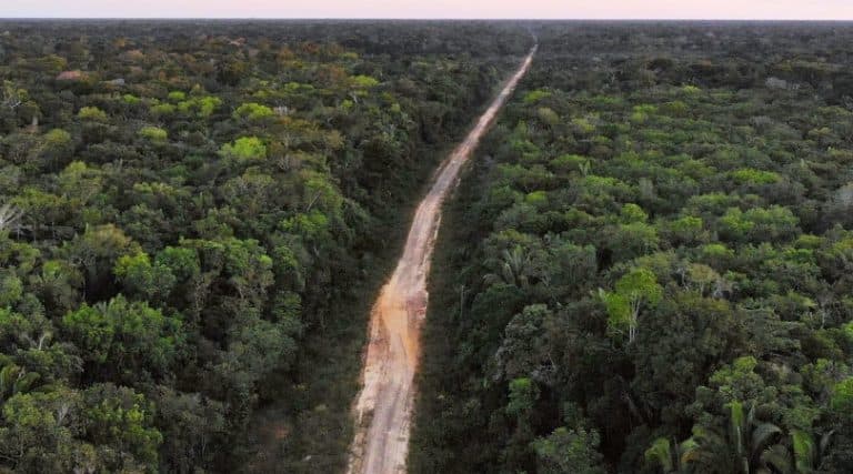 Funai aprova estudos para três Terras Indígenas em áreas da BR-319 no Amazonas