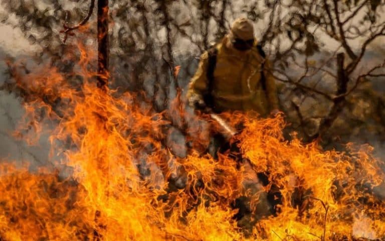 IA criada no Amazonas prevê queimadas com até 14 dias de antecedência