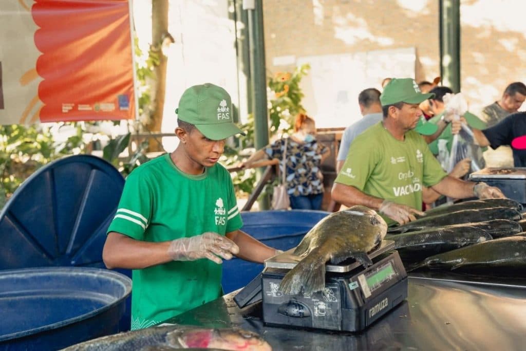 Feira do Tambaqui continua neste domingo com peixe a partir de R$ 11 o quilo