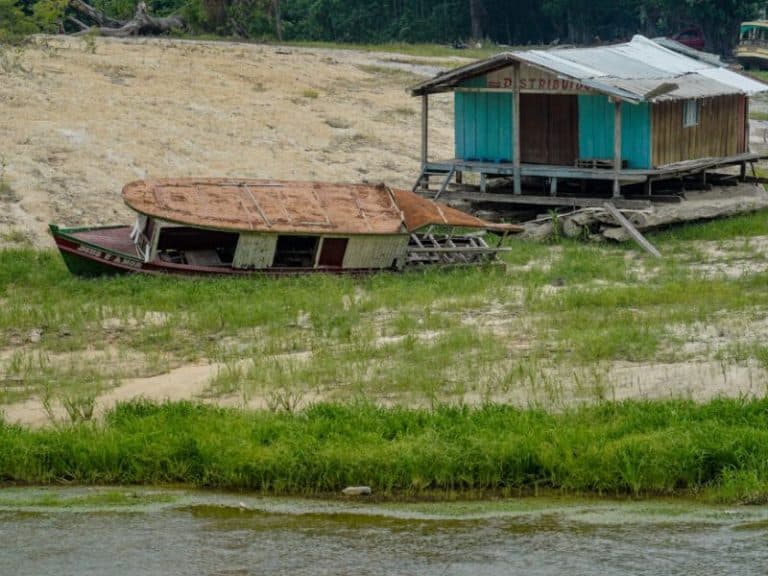 Brasil assume meta de recuperar áreas degradadas até 2030; AM está incluído