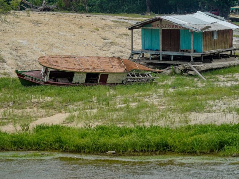 Brasil assume meta de recuperar áreas degradadas até 2030; AM está incluído