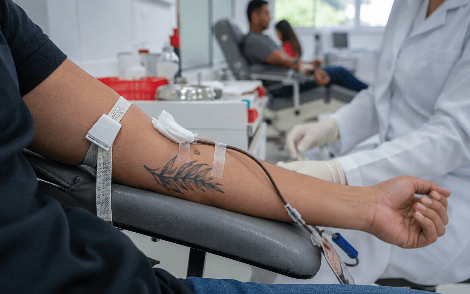 Doação de sangue terá novas regras para tatuagens, exames e cirurgia bariátrica
