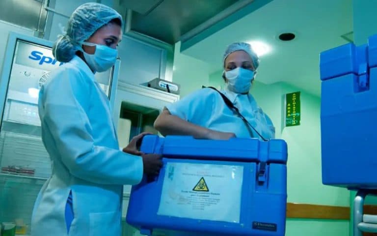 Tem mais de 60 anos? Você ainda pode ser doador vivo de órgãos